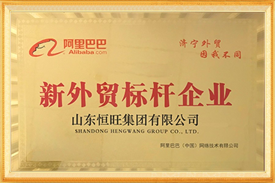 阿裏巴(ba)巴新外貿标(biāo)杆企業
